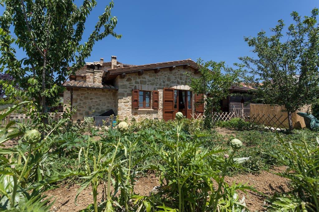 Il Belvederino Bed & Breakfast Бруфа Екстериор снимка